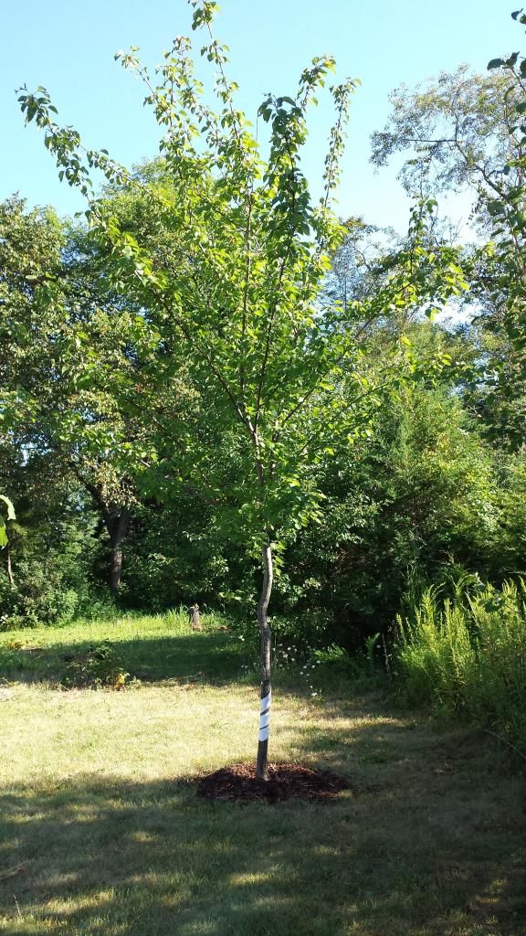  photo 20140824_084453.jpg