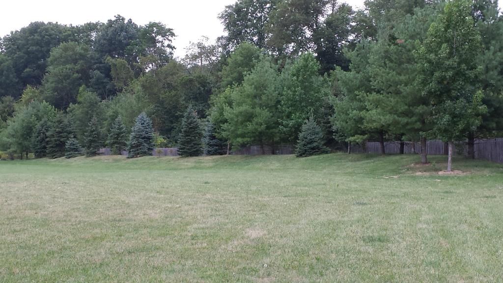  photo 20140831_090545.jpg