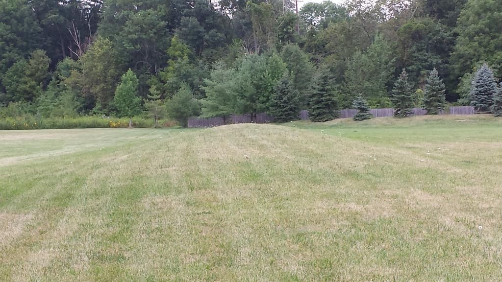  photo 20140831_090735.jpg