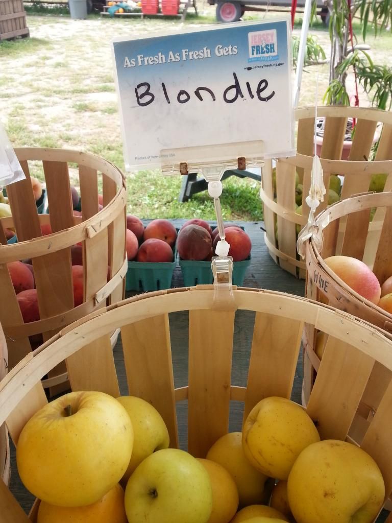  photo 20140904_142128.jpg