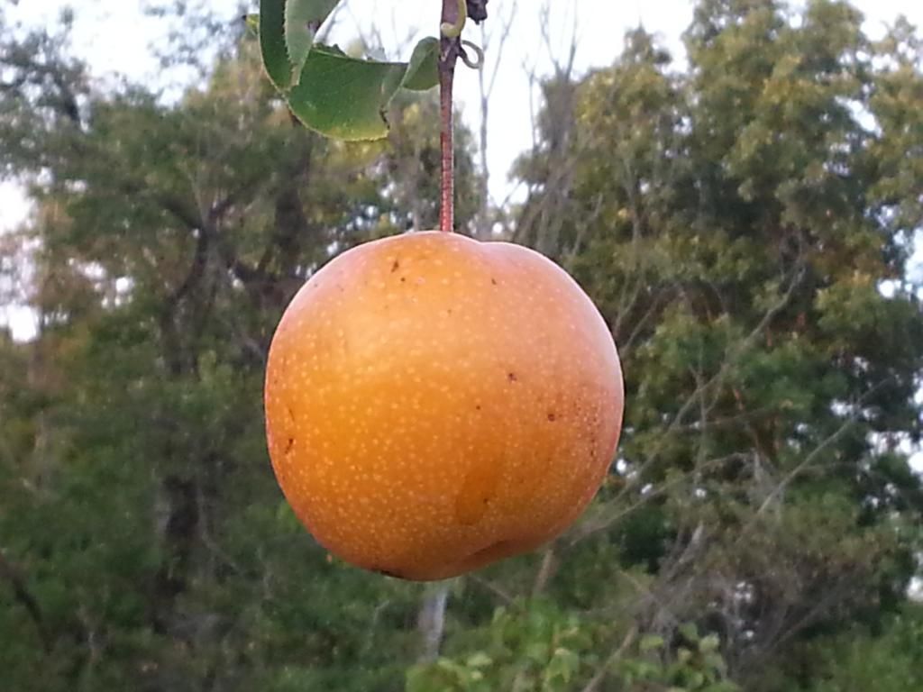  photo 20140904_184808.jpg