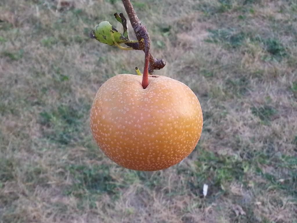  photo 20140904_184831.jpg