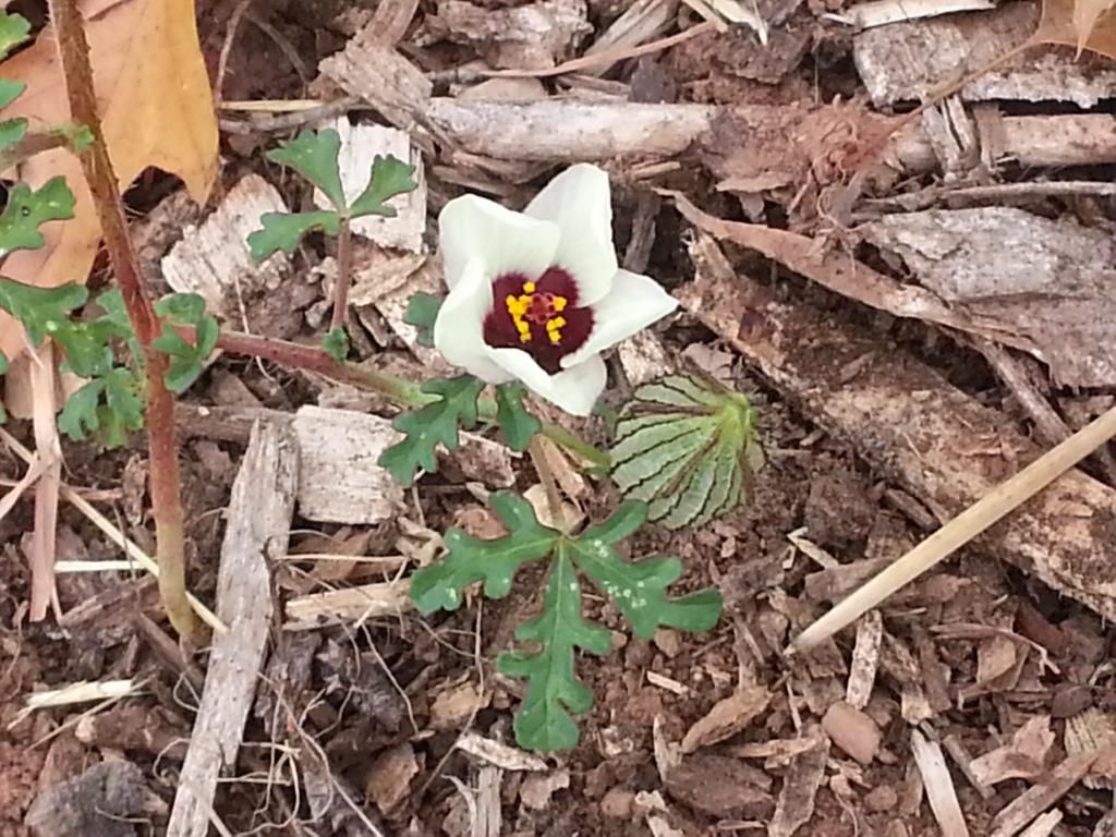  photo 20141002_111458.jpg