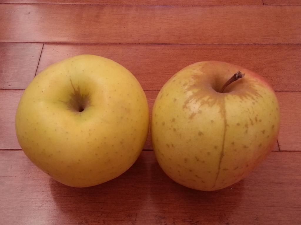  photo 20141017_074915.jpg