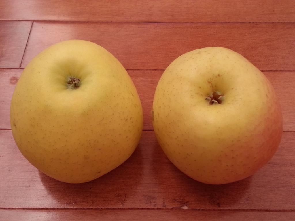  photo 20141017_074937.jpg