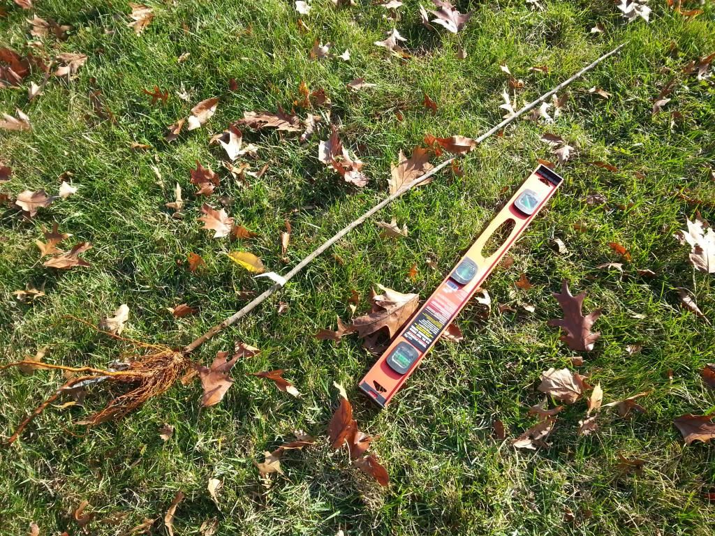  photo 20141112_134105.jpg