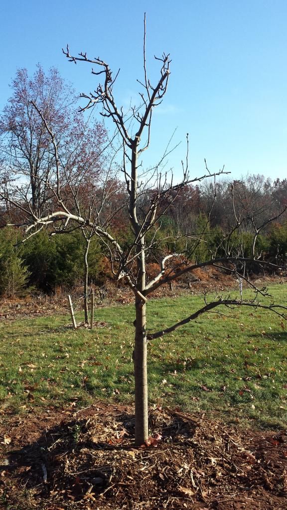  photo 20141118_144008.jpg