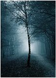 MysteriousTreeBlue.jpg Mysterious Blue Tree image by Rulingmaster