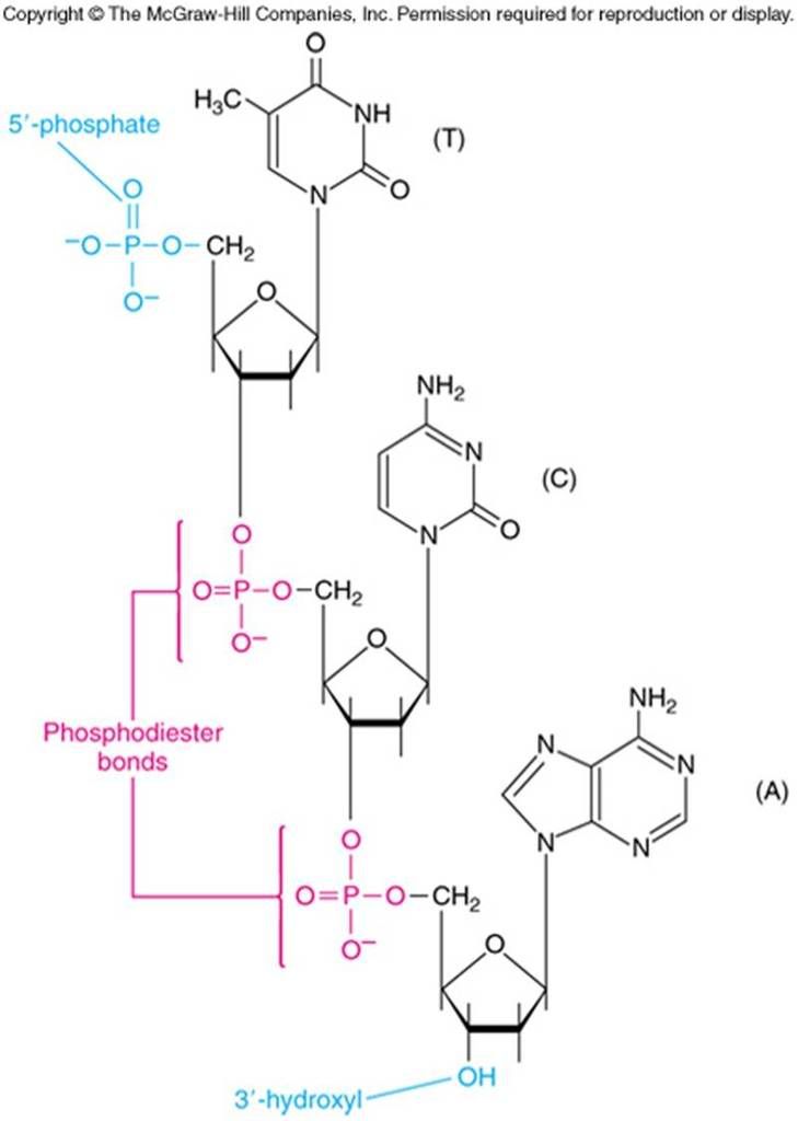 Picture7 - Online Lessons: Molecular Biology - Science and Research Picture7 - Online Lessons: Molecular Biology - Science and Research