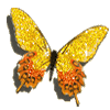 butterfly.gif butterfly image by ludamala333
