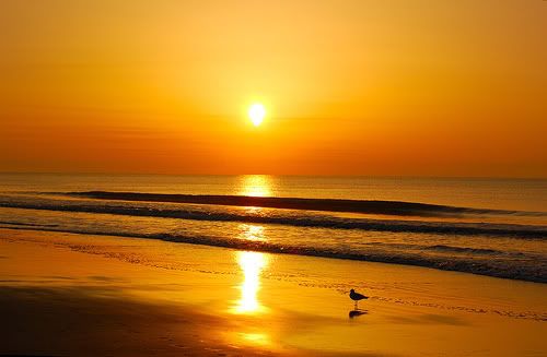 Myrtle Beach Sunrise!