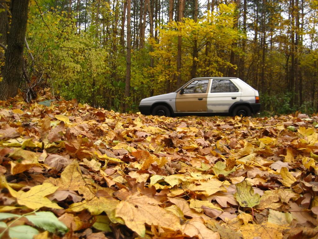 Obrázek