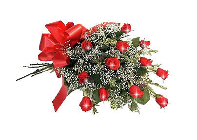 flowers roses Pictures, Images and Photos
