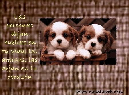 Puppies2.jpg Amistad image by letty_pm