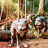 twilight_con-challenge 148