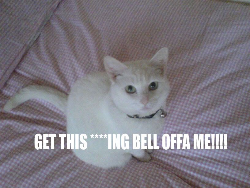 BELL.jpg