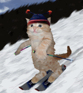 catskiing Pictures, Images and Photos