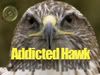 addictedhawk Avatar
