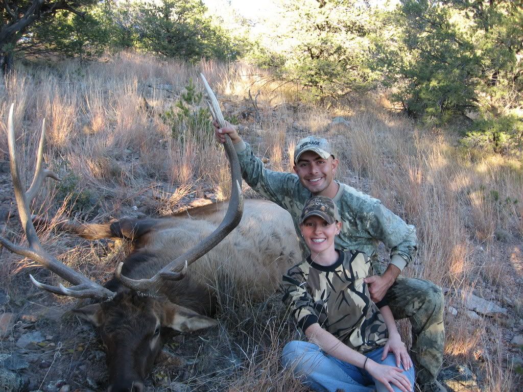 ELK2007011-1.jpg