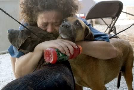 the more foster parents they