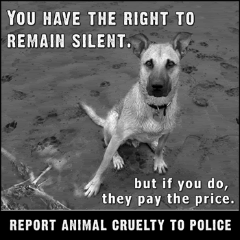 Reporting Cruelty