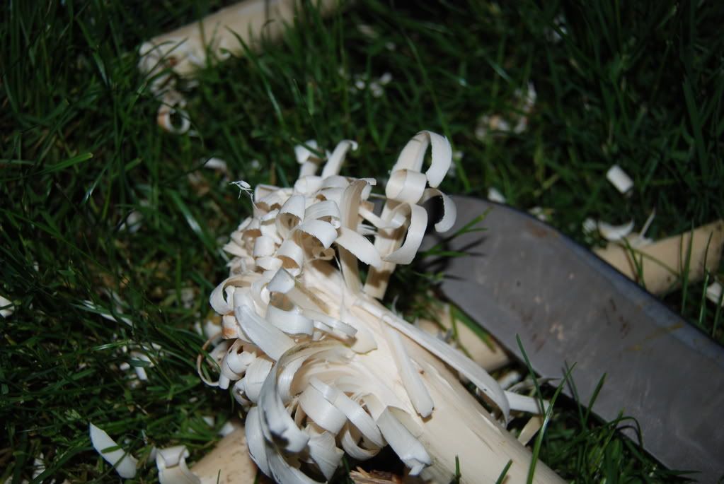 [Linked Image from i235.photobucket.com]