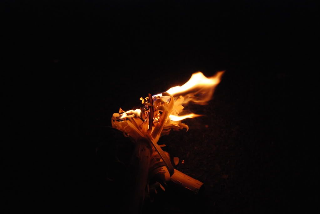 [Linked Image from i235.photobucket.com]