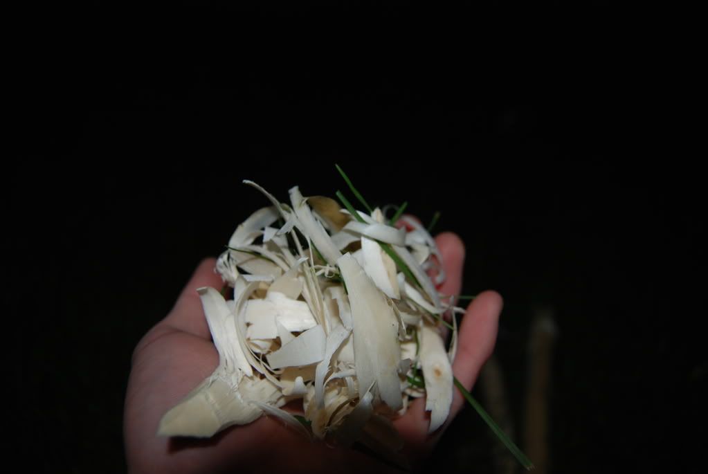 [Linked Image from i235.photobucket.com]