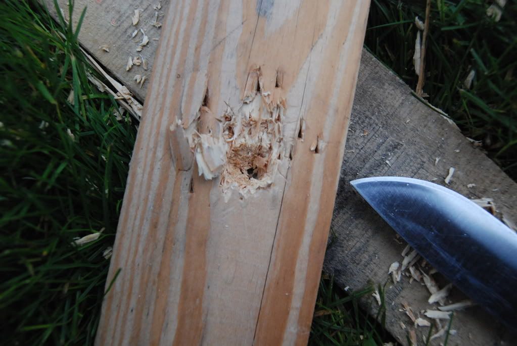 [Linked Image from i235.photobucket.com]