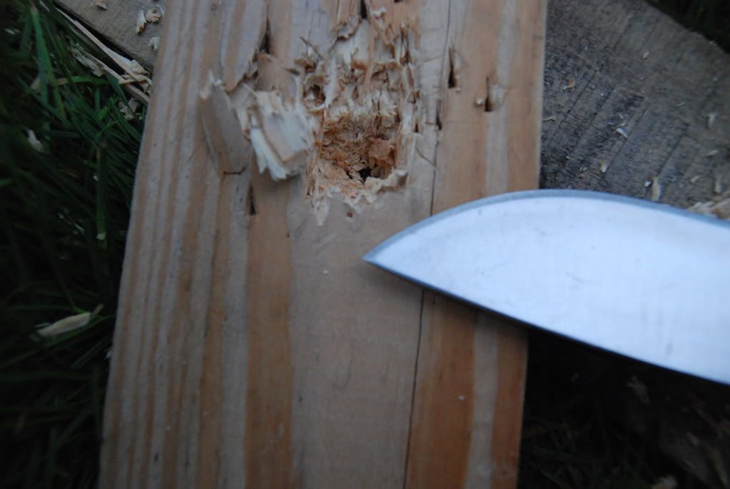 [Linked Image from i235.photobucket.com]