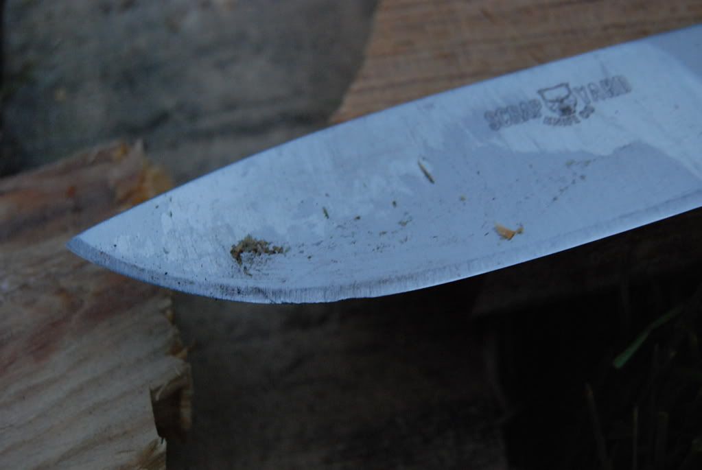 [Linked Image from i235.photobucket.com]