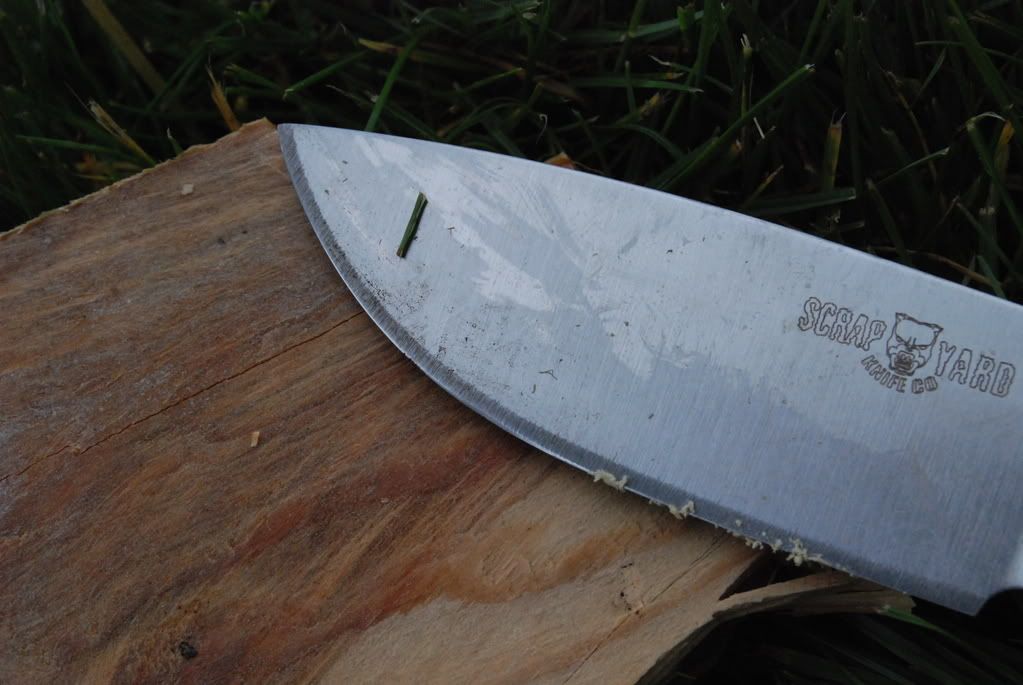 [Linked Image from i235.photobucket.com]