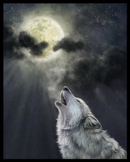 WOLF PACK HOWLING AT THE MOON
