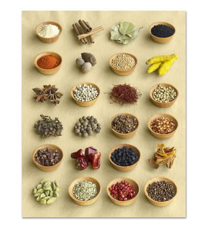 Spices Pictures, Images and Photos