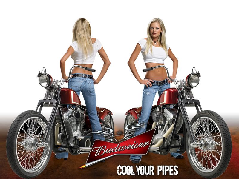 kelly kelly wallpaper_18. bud Image