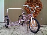 sidehack2-3.jpg image by FREEDOMBMXNET