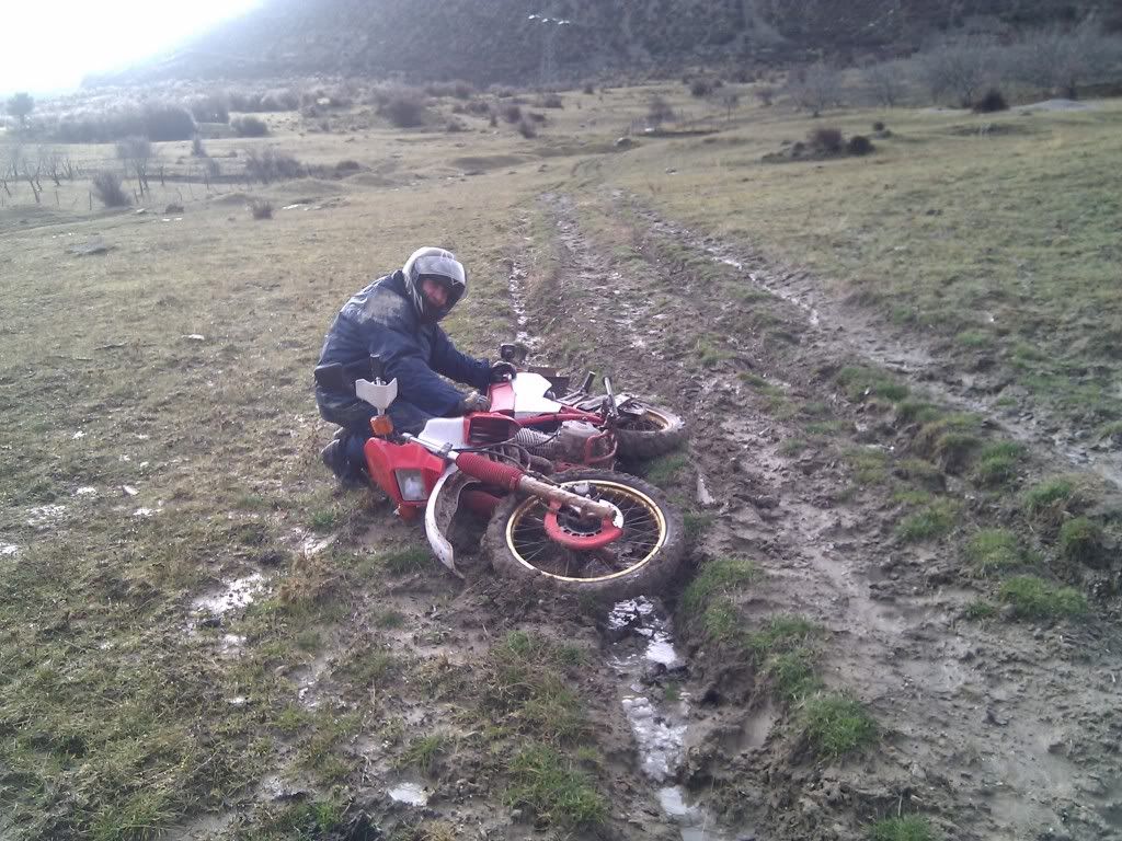 IMG_20110109_103504.jpg