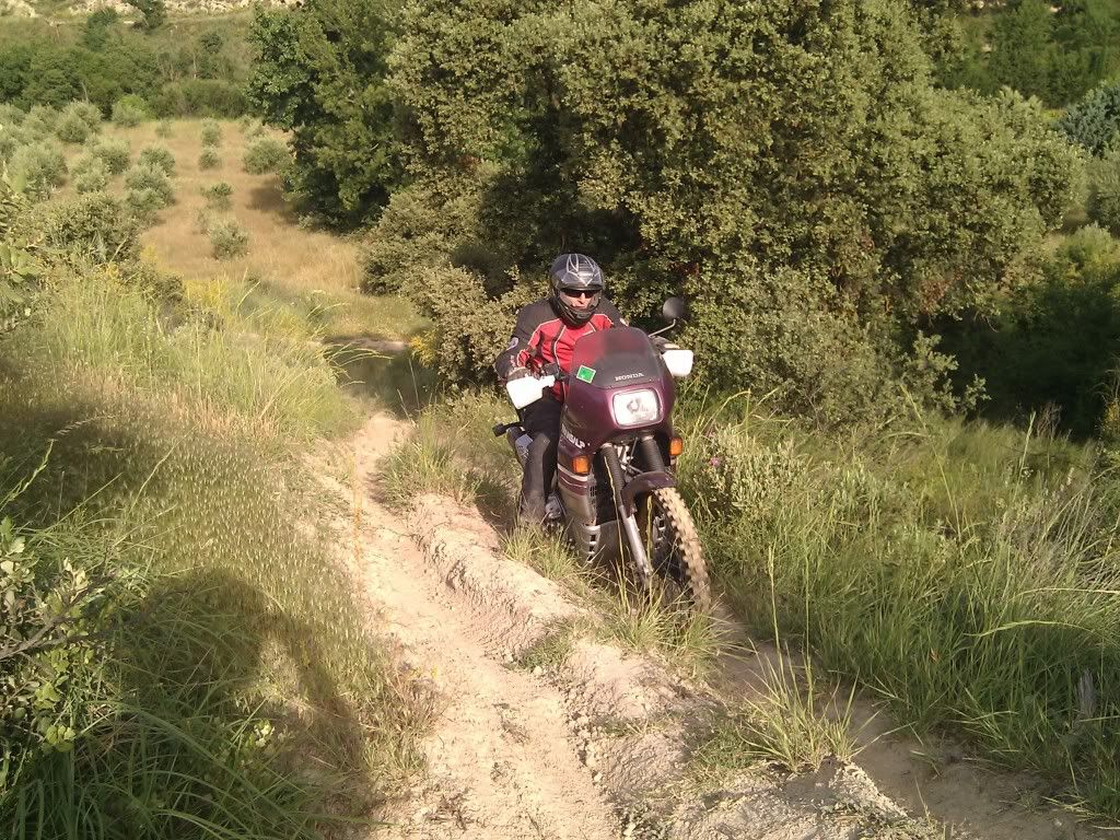 IMG_20110611_093759.jpg