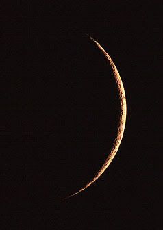 -Moon-Crescent-small.jpg