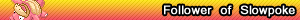 slowpokefollowerbar.png