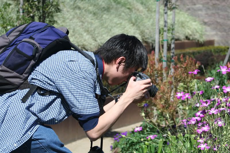 IMAGE: http://i235.photobucket.com/albums/ee312/krepta/IMG_2449.jpg