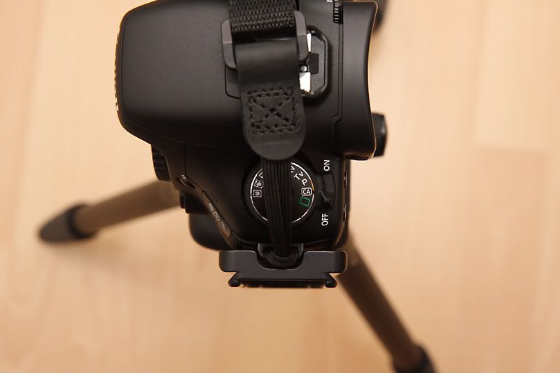 IMAGE: http://i235.photobucket.com/albums/ee312/krepta/IMG_9162PS-POTN.jpg