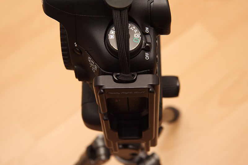 IMAGE: http://i235.photobucket.com/albums/ee312/krepta/IMG_9163PS-POTN.jpg