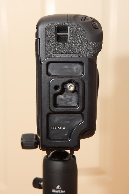 IMAGE: http://i235.photobucket.com/albums/ee312/krepta/IMG_9172PS-POTN.jpg