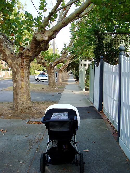 walk and wrap