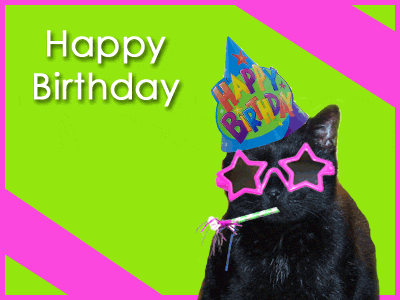 happy birthday cat picture. Happy Birthday
