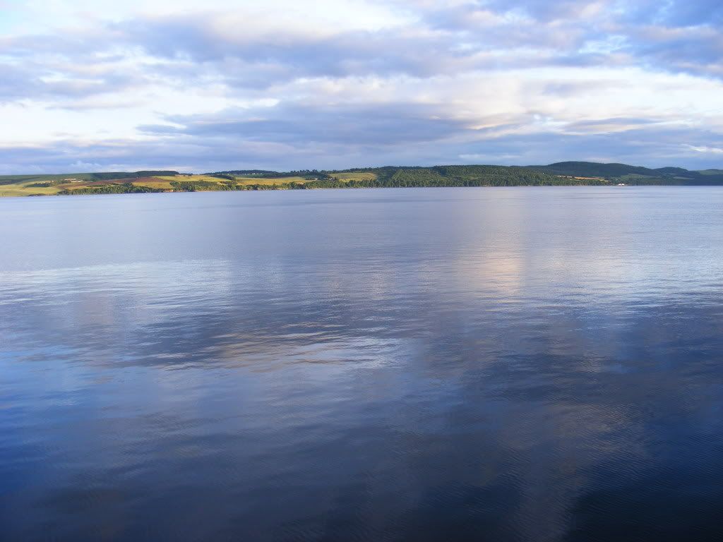 2008_0711EveningDundee0460.jpg
