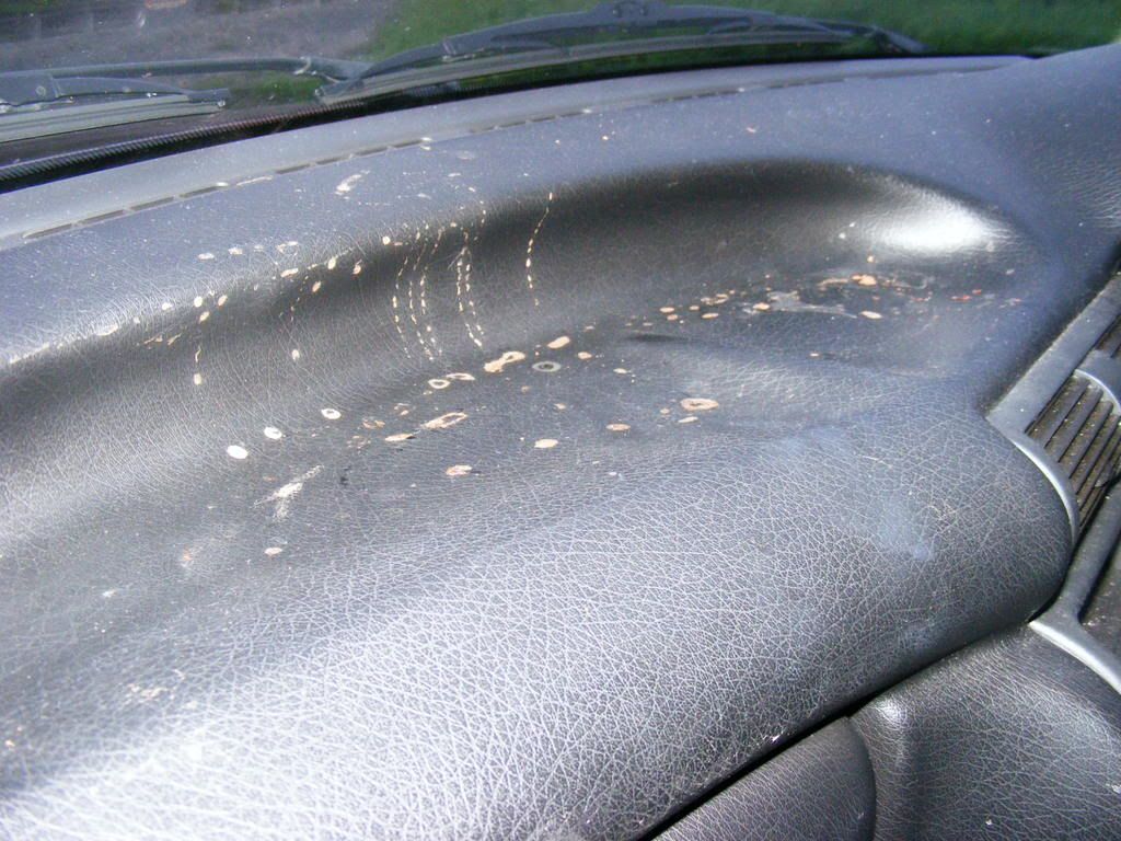 2008_0823Astra0012.jpg