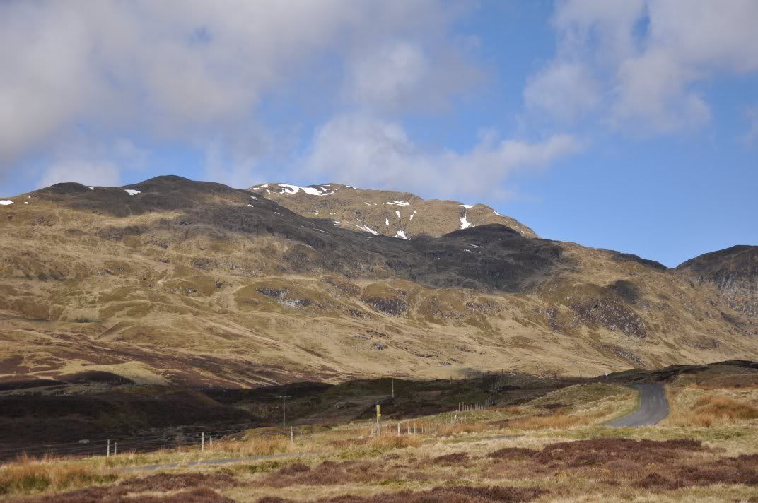 Dsc_0005.jpg