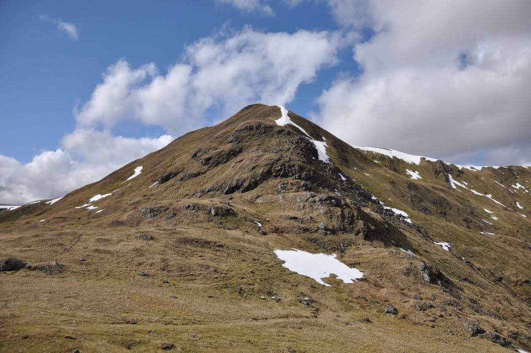 Dsc_0137.jpg